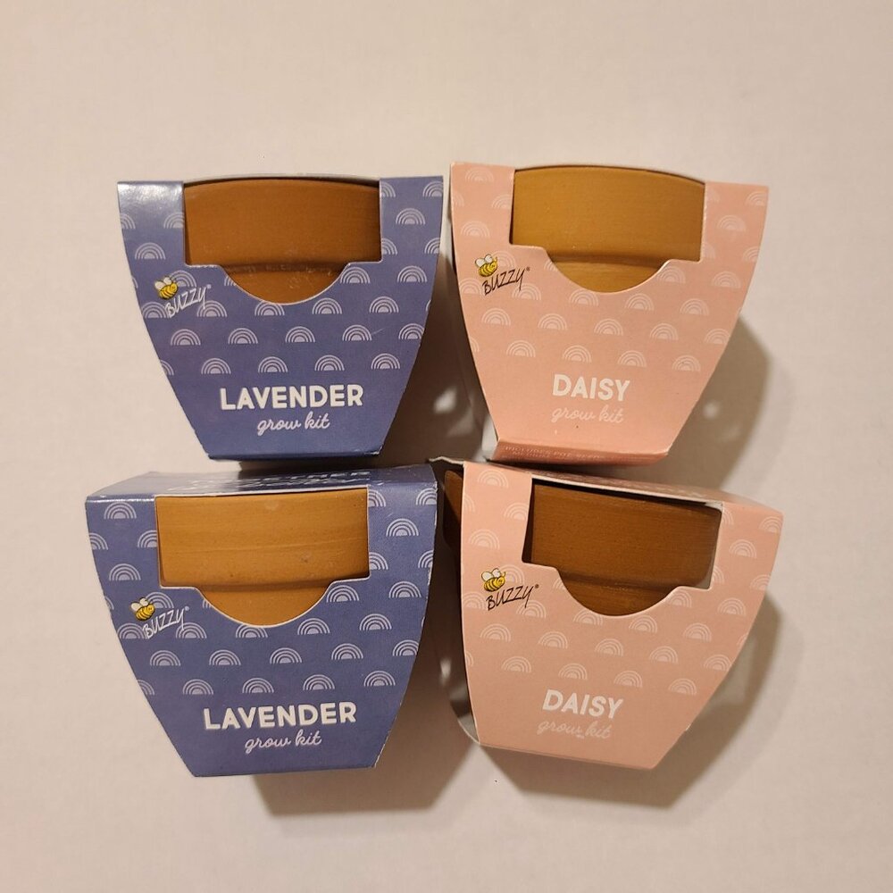 BUZZY 4 PIECE MINI GROW KIT - DAISY, LAVENDER - Picture 2 of 3